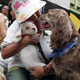 Image for article titled Fine, Furry Friends